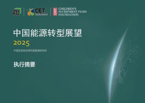 行业报告-《2025年中国能源转型展望报告》-行业报告集合