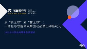 行业报告-《2025年中国出海零售品牌调研报告》-行业报告集合