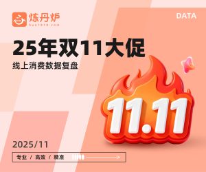 行业报告-《2025年双十一大促线上销售数据复盘报告》-行业报告集合
