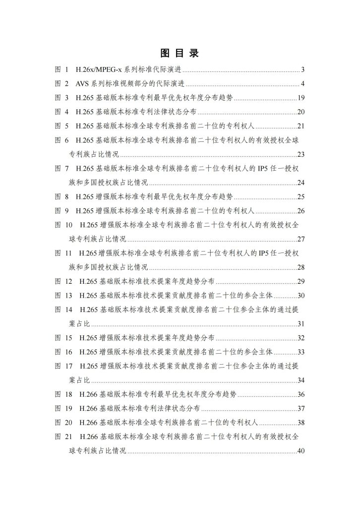 图片[6]-从H.265到H.266：视频编解码专利竞争格局与中国企业的崛起-行业报告集合