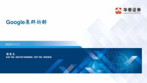 Google TPU集群：光互连架构重塑AI算力集群-行业报告集合