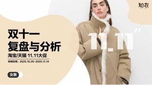 2025双十一女装消费趋势:羽绒服领跑,性价比为王-行业报告集合