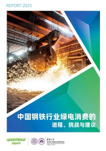 中国钢铁行业绿电消费:政策驱动下的转型机遇与挑战-行业报告集合