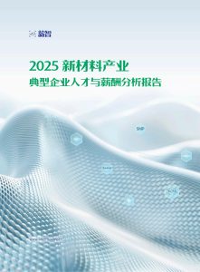 2025新材料产业薪酬报告:高薪分化加剧,技术驱动人才争夺战升温-行业报告集合